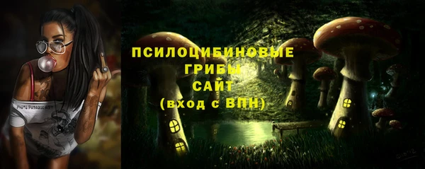 mdpv Богородицк