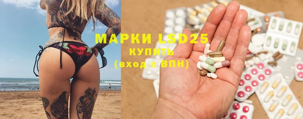 mdpv Богородицк