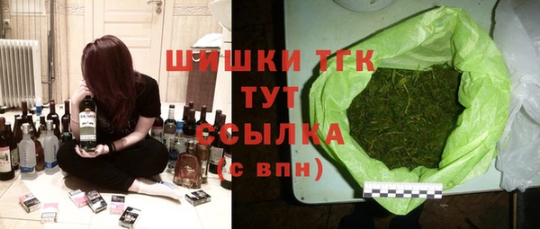 mdpv Богородицк