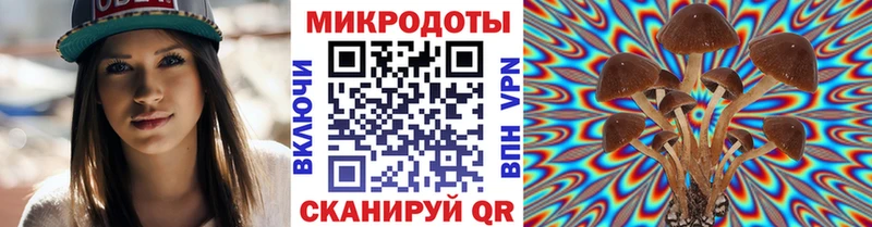 Галлюциногенные грибы Psilocybine cubensis Белинский