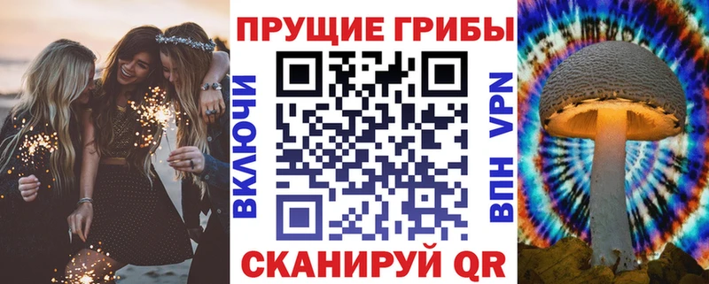 Псилоцибиновые грибы прущие грибы  Купить где  Белинский 